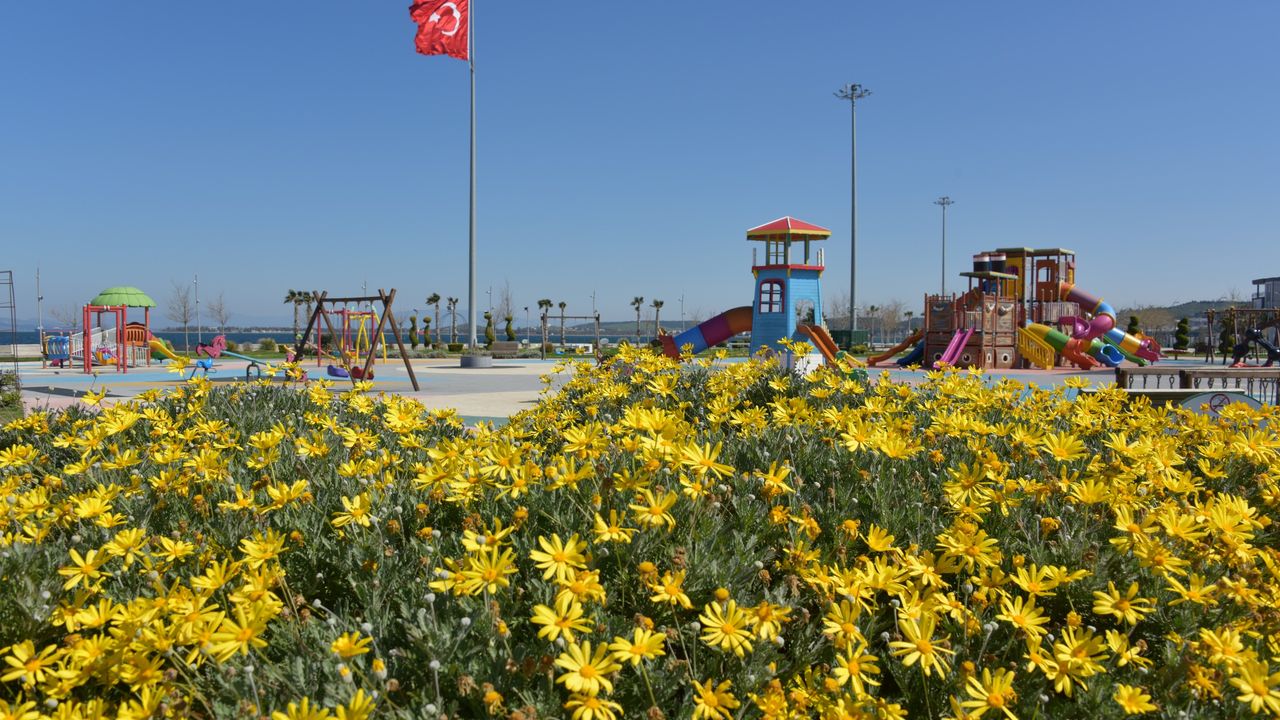 72 Dönümlük Alanda Çim ve Peyzaj Bakımı Yapıldı
