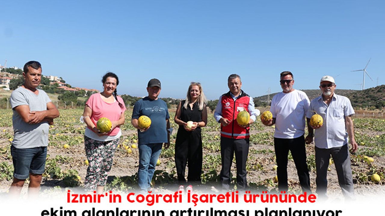 İzmir'in Coğrafi İşaretli ürününde ekim alanlarının artırılması planlanıyor 