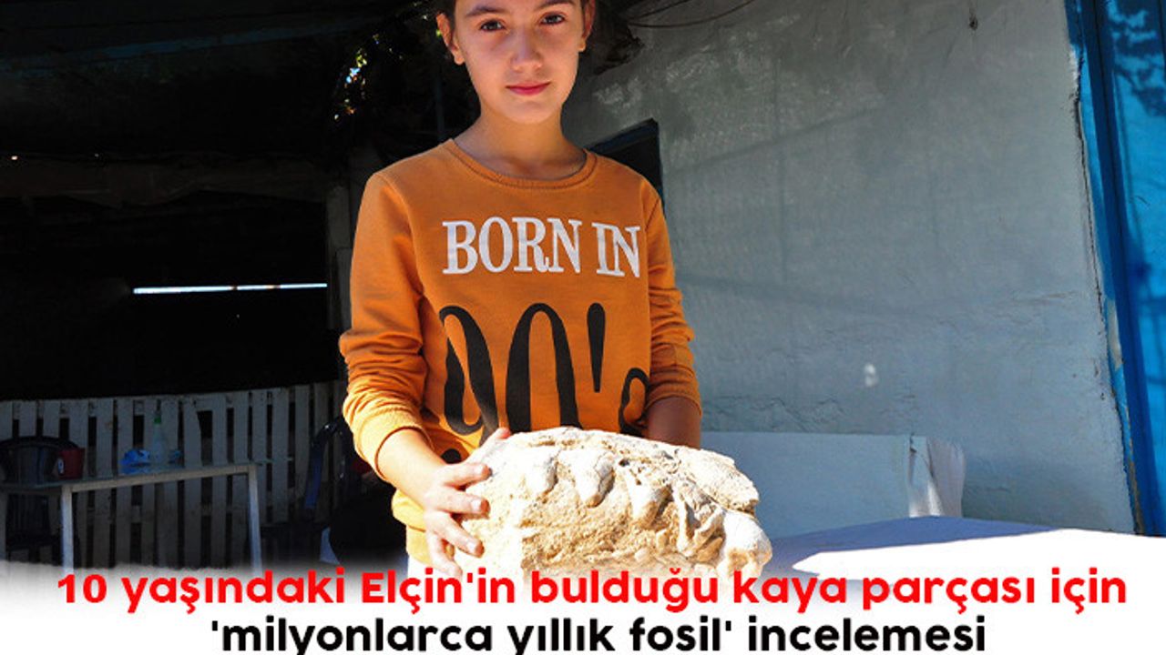 10 yaşındaki Elçin'in bulduğu kaya parçası için 'milyonlarca yıllık fosil' incelemesi