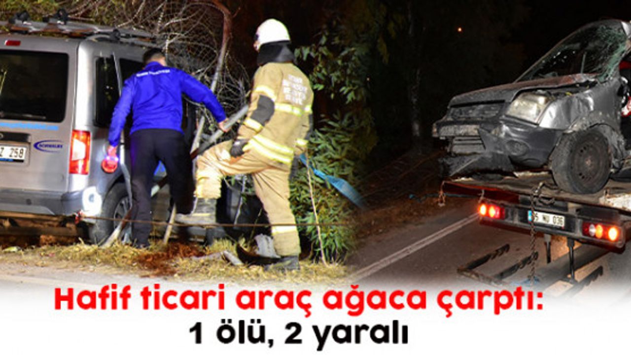 İzmir'de hafif ticari araç ağaca çarptı 1 ölü, 2 yaralı 