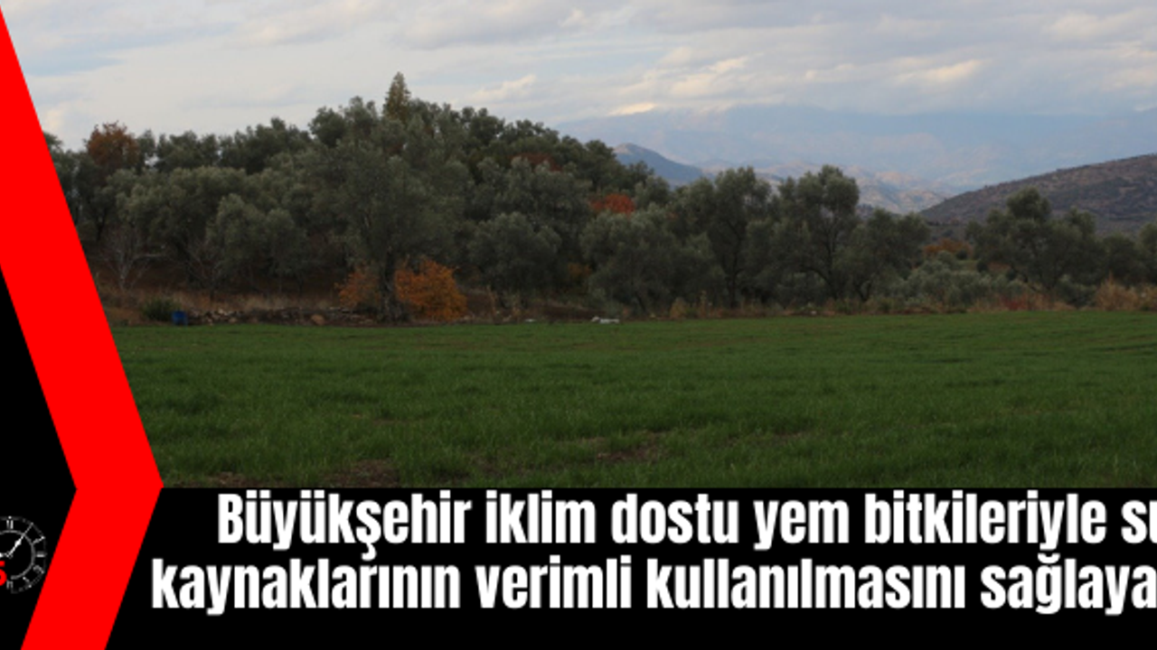 Büyükşehir iklim dostu yem bitkileriyle su kaynaklarının verimli kullanılmasını sağlayacak