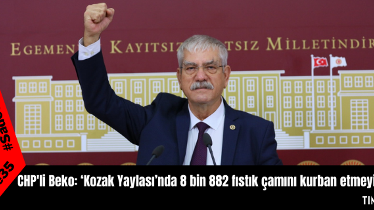 CHP'li Beko: ‘Kozak Yaylası’nda 8 bin 882 fıstık çamını kurban etmeyin’