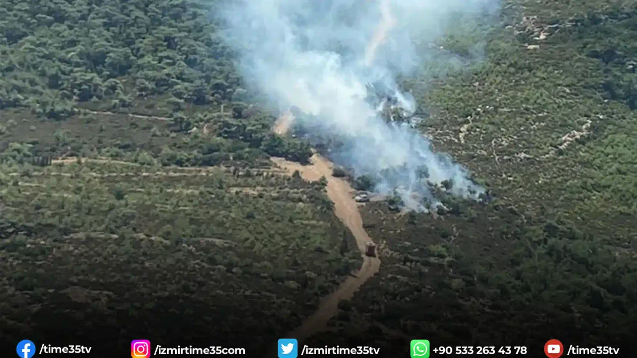 Foça’daki orman yangınına havadan ve karadan müdahale