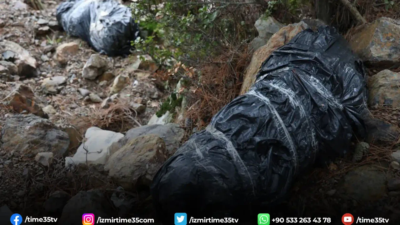 İzmir’de çöp poşetleri içerisinde köpek ölüleri bulundu