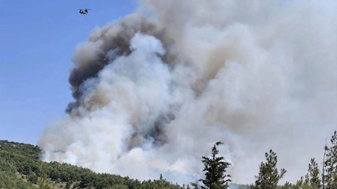Çeşme'deki otluk alan yangını kontrol altına alındı