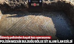 Polisin mozaik bulduğu bölge sit alanı ilan edildi