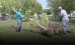 Bornova’da park yenileme hamlesi