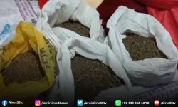 İzmir'de jandarmadan 9 adrese uyuşturucu baskını