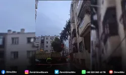 Konak Belediyesi ekipleri fırtınadan yıkılan ağaca müdahale etti