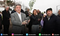 Bornova’da zeytincilik eğitimleri devam ediyor