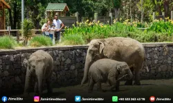 İzmir Doğal Yaşam Parkı yeni yıla yenilenerek giriyor