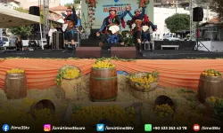 Mandalina Festivali için geri sayım başladı