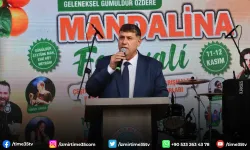 Menderes'te Mandalina Festivali coşkusu