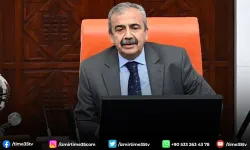 HDP'nin İzmir Adayı Sırrı Süreyya Önder mi?