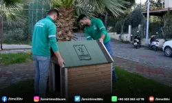 Can Dostların yuvaları kışa hazır