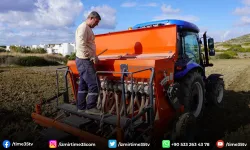 Çeşme Belediyesi Karakılçık buğdayı üretimine devam ediyor