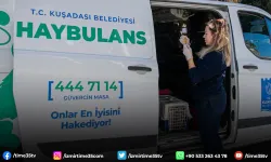 Kuşadası Belediyesi’nin Haybulans araçları sayesinde 78 bin can dost hayata tutundu