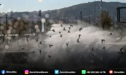 Meteoroloji'den İzmir'e fırtına uyarısı!