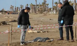 Yerlikaya'dan sahildeki cesetlere ilişkin açıklama