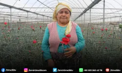 Sevgililerin çiçekleri İzmir'den: 14 Şubat öncesi hasat yoğunluğu