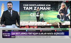 AK Parti Konak Belediye Başkanı adayı Çankırı'dan, sahipsiz hayvanlarla ilgili proje