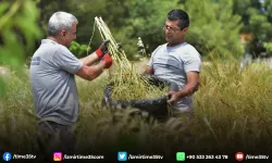 Atalık tohumlar Bornova’da yaşatılıyor