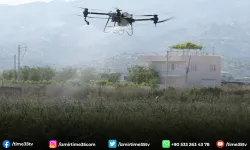 Aydınlı çiftçiler drone ile gübre uygulaması yapılmasından memnun