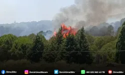 Bornova’da orman yangını