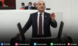 CHP'li Polat: Çin yasaklayınca AB'nin hedefi olduk