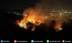 Tire’de çıkan yangında beş dönümlük zeytinlik alan zarar gördü