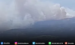 Dikili’de orman yangını