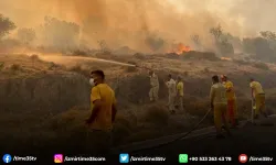 Dikili'deki orman yangını 8 saat sonra kontrol altına alındı