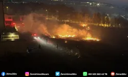 İzmir'de otluk alanda çıkan yangın evlere sıçramadan söndürüldü