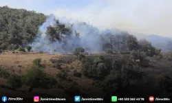 İzmir Valisi Elban: "Yangında 7 ev hasar gördü"