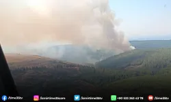 Menderes'teki orman yangını kontrol altına alındı