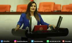 CHP'li Kılıç'tan bakanlığa 'maymun çiçeği' çağrısı