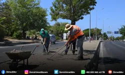 Güzelçamlı’nın refüj ve kavşaklarına estetik düzenleme