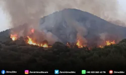 İzmir’deki orman yangınlarında 6 tutuklama