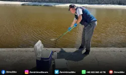 Bakanlık, İzmir Körfezi'ndeki balık ölümleri için bölgeden numune aldı