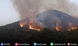 Tire ve Bayındır'da orman yangınları sürüyor