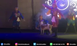 Köpek sahneye daldı, dansçılar şaşkına döndü