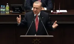 Erdoğan: Kriminal tipler sokakta olmamalı