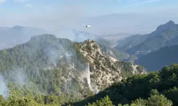 Denizli'deki orman yangını söndürüldü