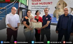 Karabağlar patili dostlar için buluşuyor