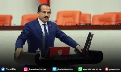 AK Partili Kırkpınar’dan 'Dilruba' çıkışı