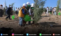 Büyük yangının ardından İzmir'de ilk fidanlar toprakla buluştu