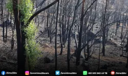 İzmir'de yangından sonra dikkat çeken görüntü