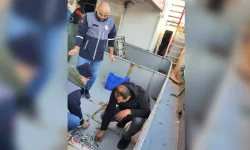 Sinop’ta 40 ton hamsiye el konuldu