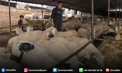 Yangın mağduru çiftçilere 225 ton yem desteği