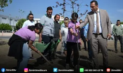 Bornova Belediyesi ve gençlerden doğaya vefa projesi